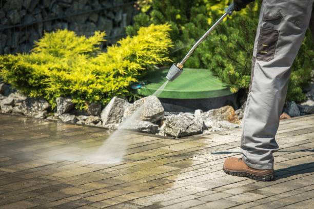 Animal Enclosure Cleaning in Wesleyville, PA